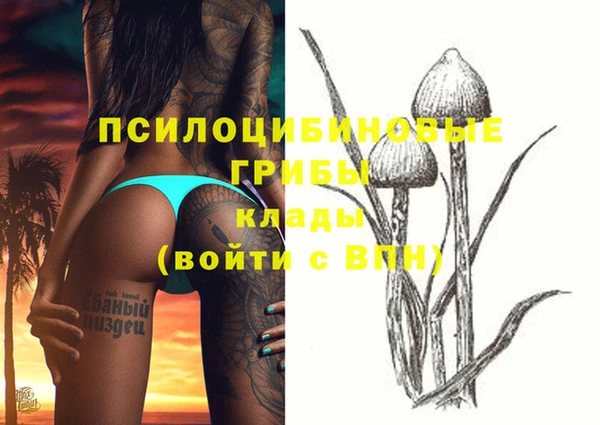 амф Инта