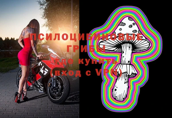 амф Инта