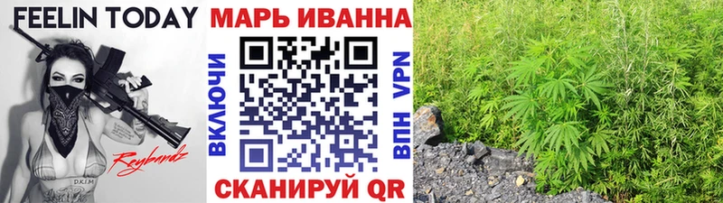 мориарти как зайти  Радужный  Бошки марихуана индика  хочу наркоту 